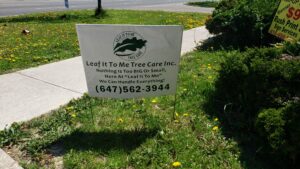 Bag Lawn Sign's